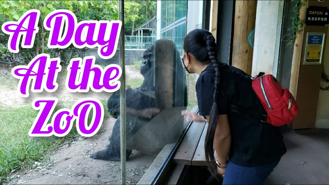 Sedgwick County Zoo (Wichita, Kansas)