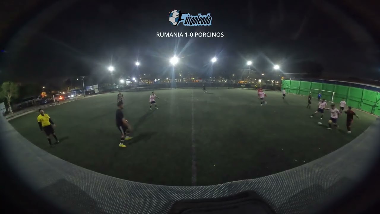RUMANIA VS PORCINOS