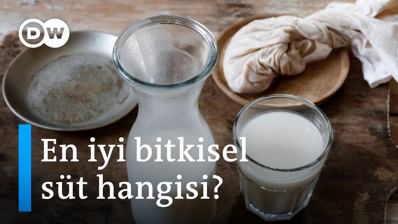 İnek sütünden vazgeçer misiniz? | Badem, yulaf ya da soya sütü alternatif olabilir mi? - DW Türkçe