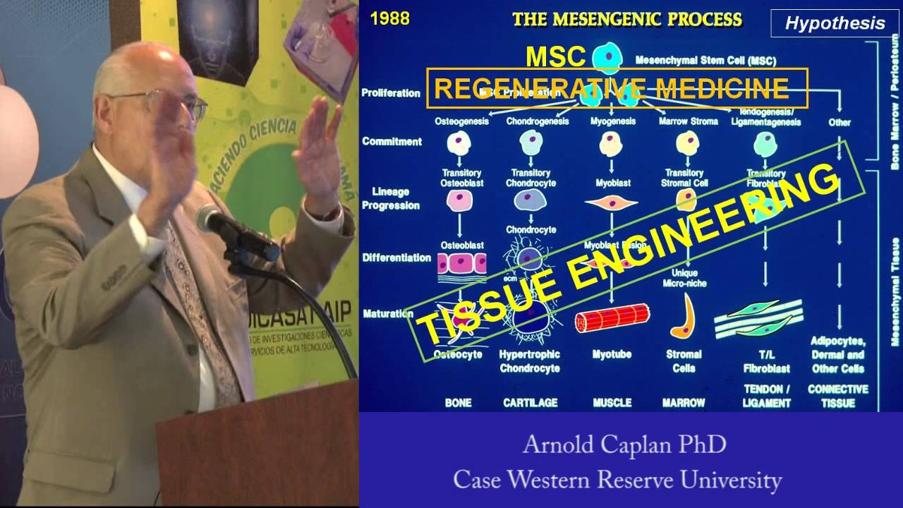 The Science of Mesenchymal Stem Cells and Regenerative Medicine - Arnold Caplan PhD (Part 2)