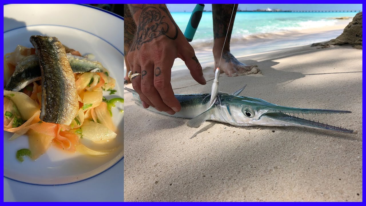 EATING BAIT: Surprisingly Delicious!!