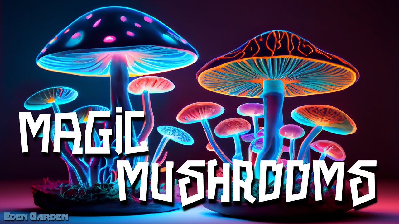 Magic Mushrooms Wonderland  | This Is A Journey Into Your Deep Emotions