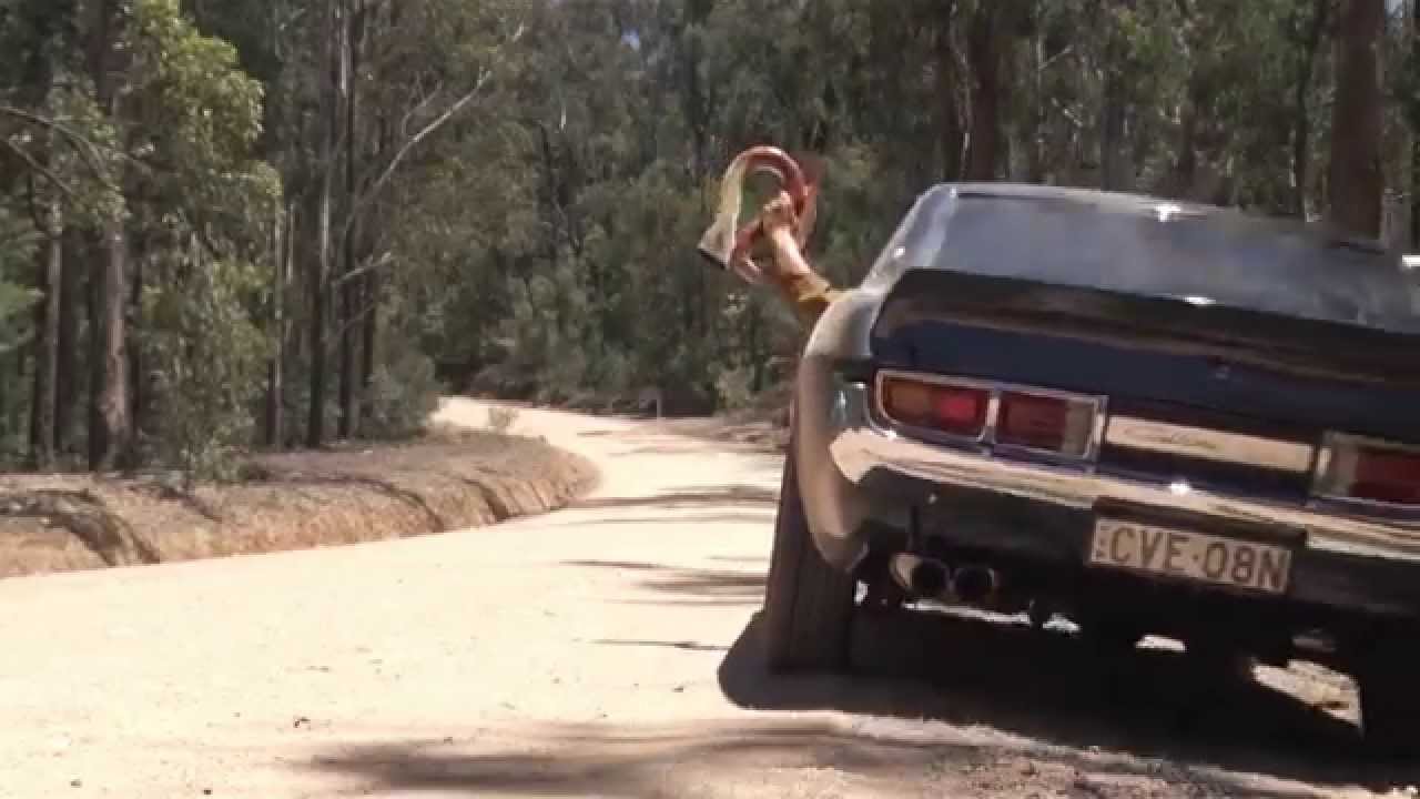 Swamp Stomp Boogie - The Swamp Stompers (OFFICIAL VIDEO)