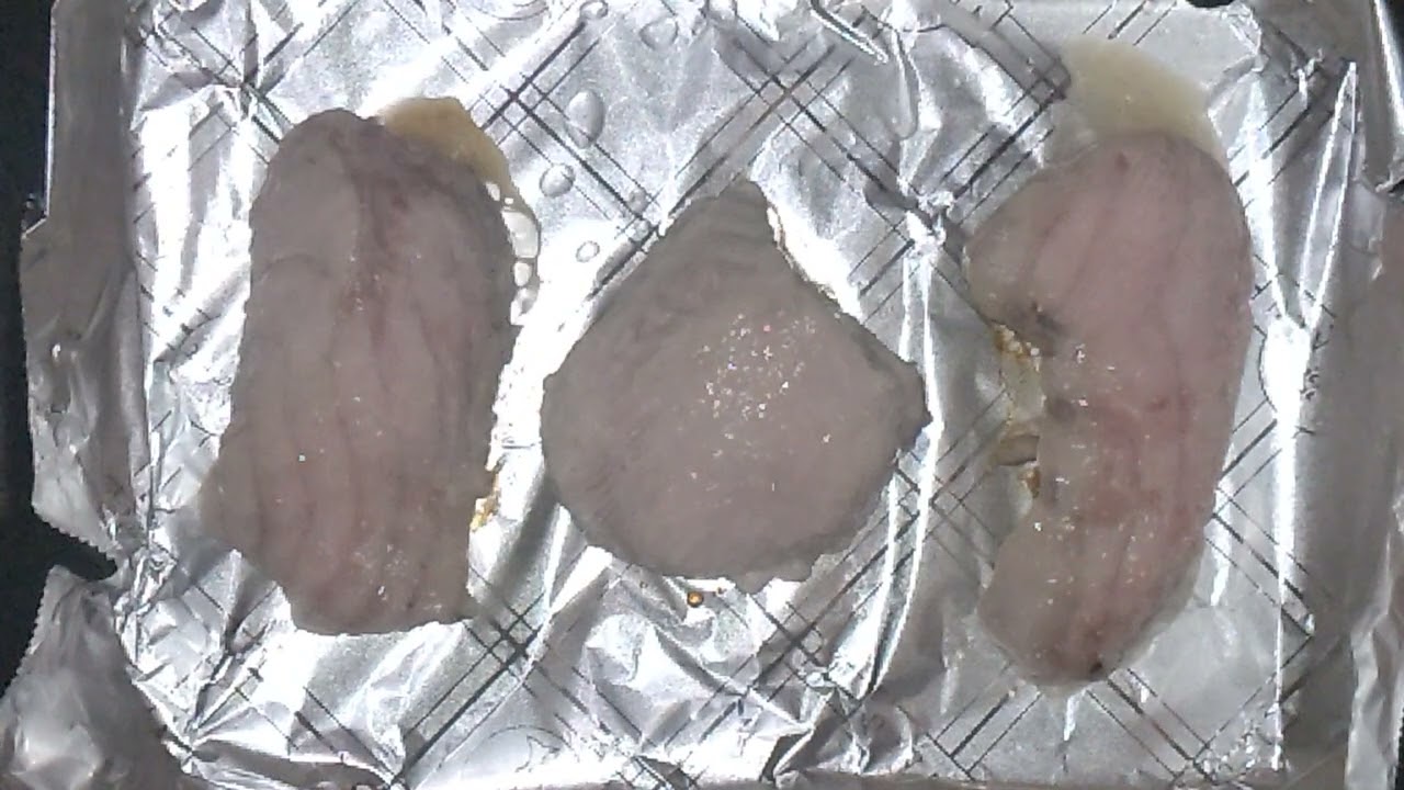 もうか鮫 Grilled shark