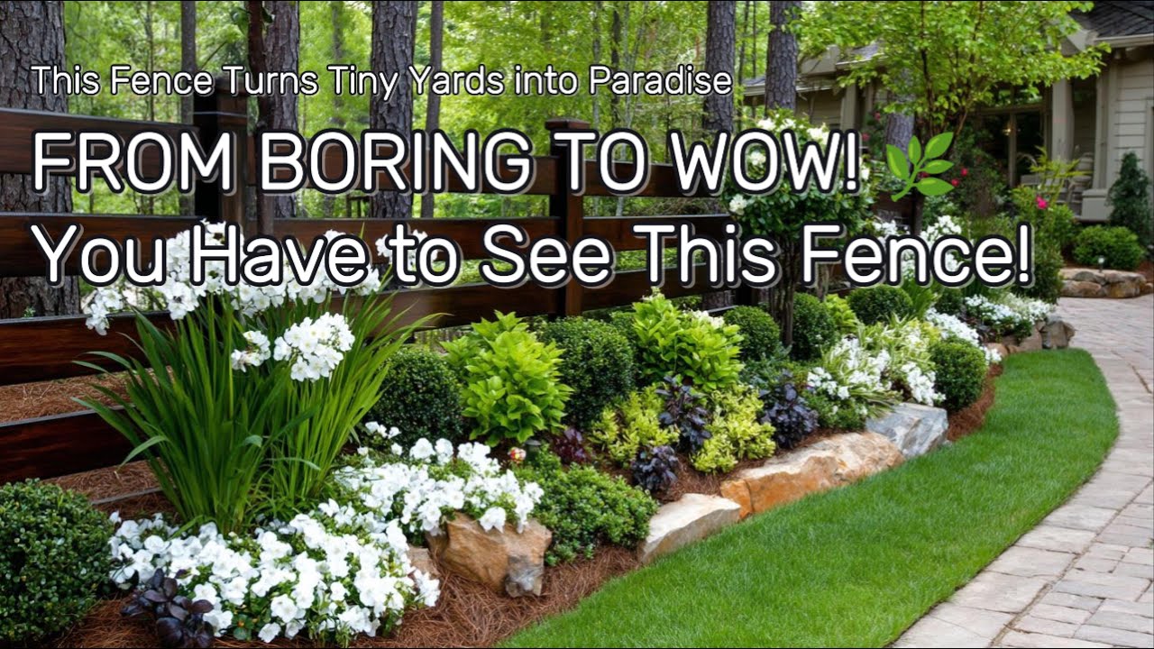 2025 Fence Landscaping: Transform Your Tiny Backyard into a Green Paradise | From Bare to Beautiful