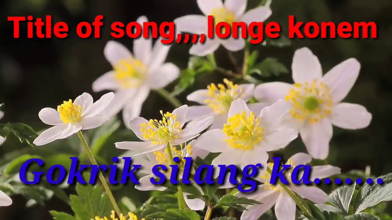 Longe konem  karik silang ka (all Adi Song with lyrics collection)