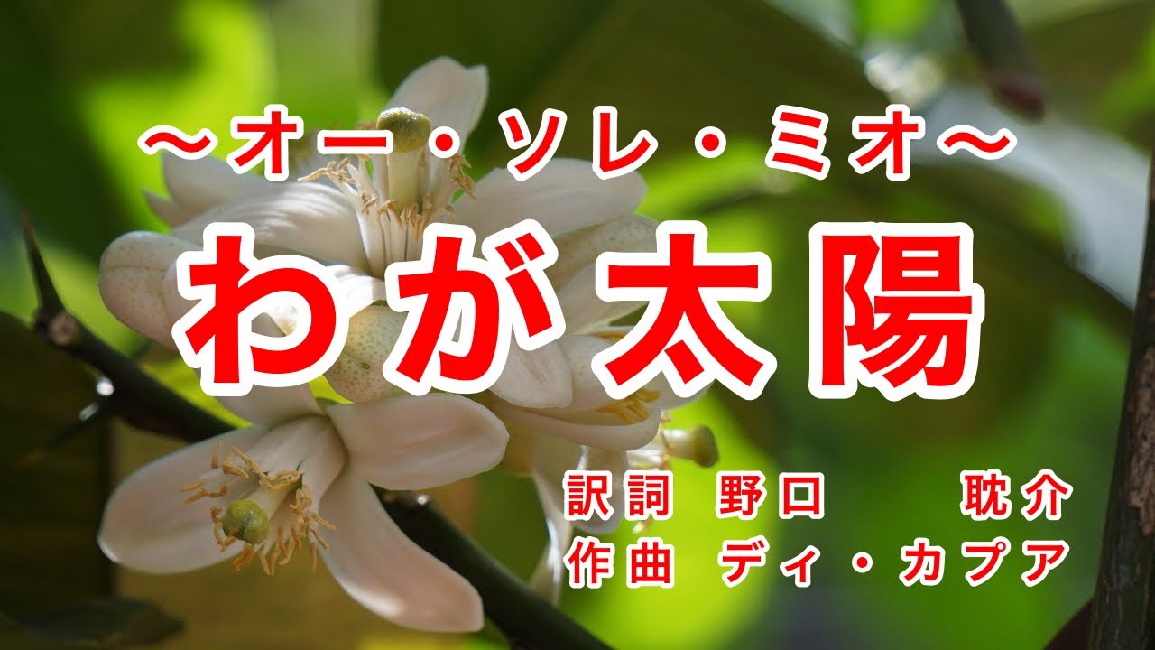 わが太陽｜オー・ソレ・ミオ｜日本語歌詞｜イタリアの歌｜麗しき南の国 燃ゆる日の輝きよ