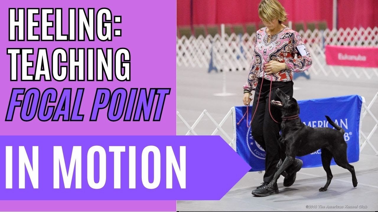 Teaching focal point for heeling in motion.