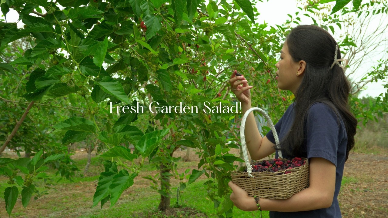 [9] Mulberry Season Is Here! 🍇 We Picked So Many & Made the Freshest Salad Ever!