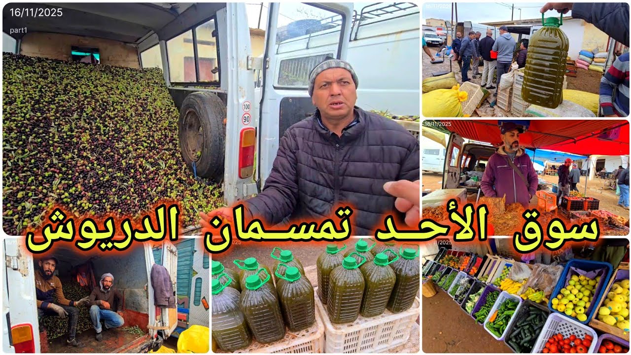 🚨سوق الأحد تمسمان بعد ليلة ممطرة ولله الحمد...اونخفاض واضح في ثمن الزيتون اليوم 🌧🤲