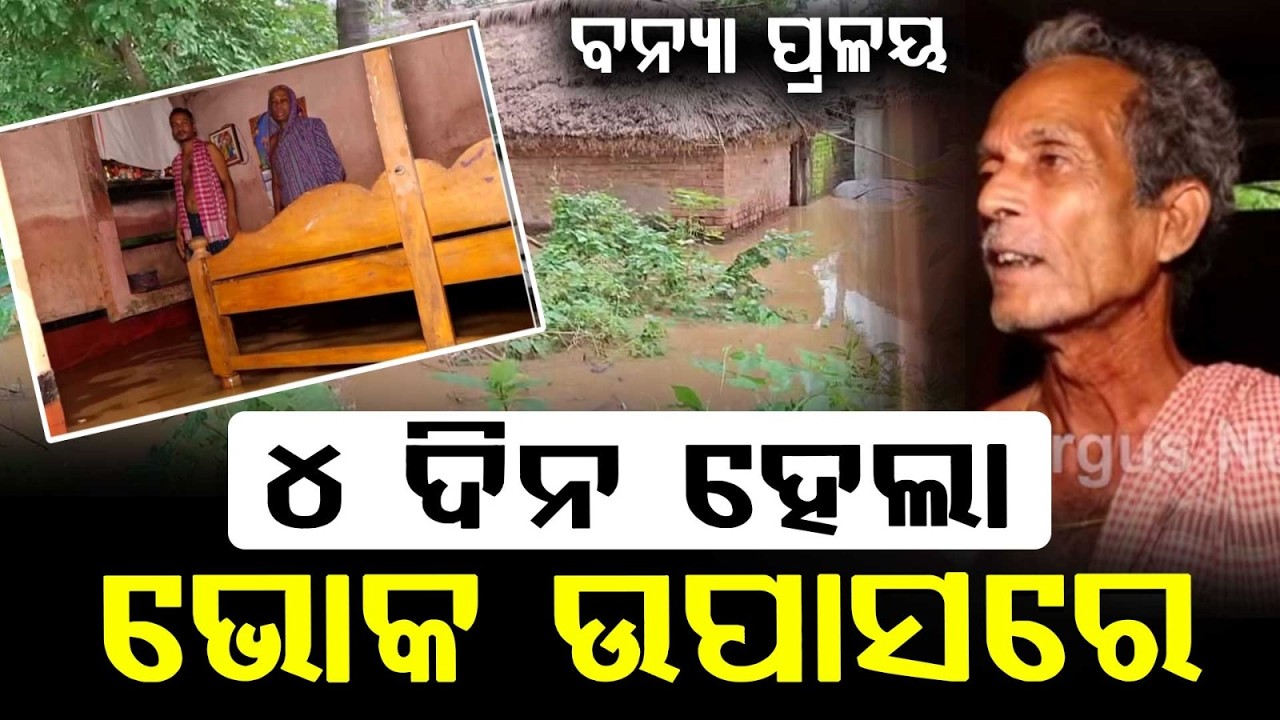 Dhamnagar Flood Fury: Families Stranded On Rooftops For 4 Days; Snake Scare & Hunger In Bhadrak