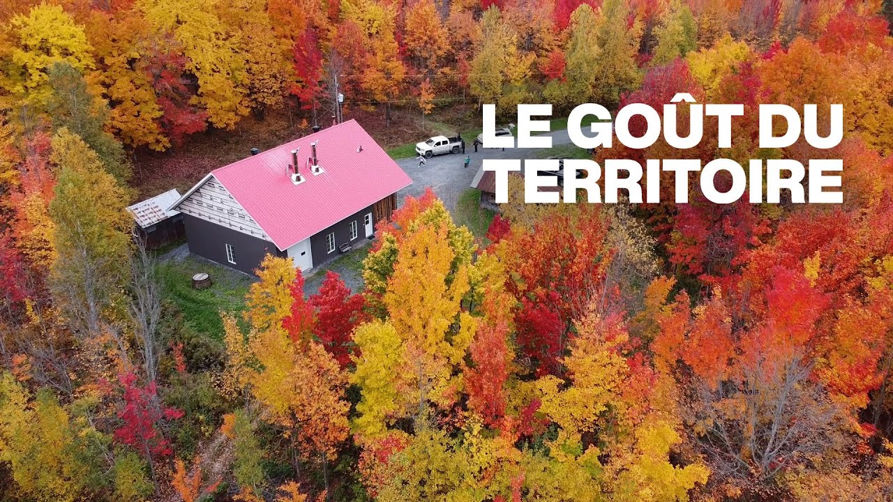 La relance de l'acériculture | Le goût du territoire