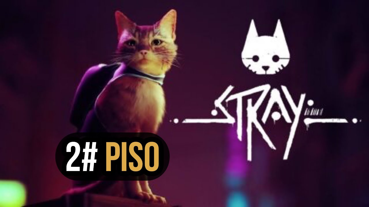 Stray Piso