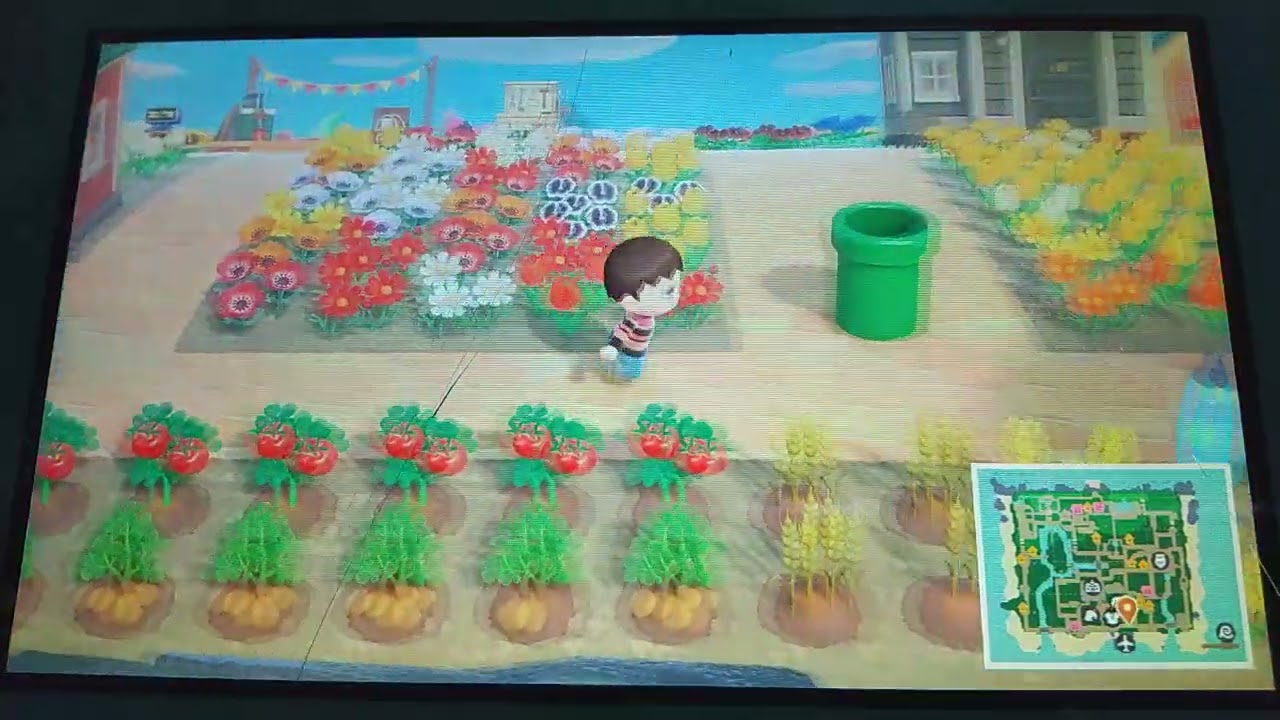 🌤️あつまれどうぶつの森🏝️ 【ゆっくりのんびり動画】