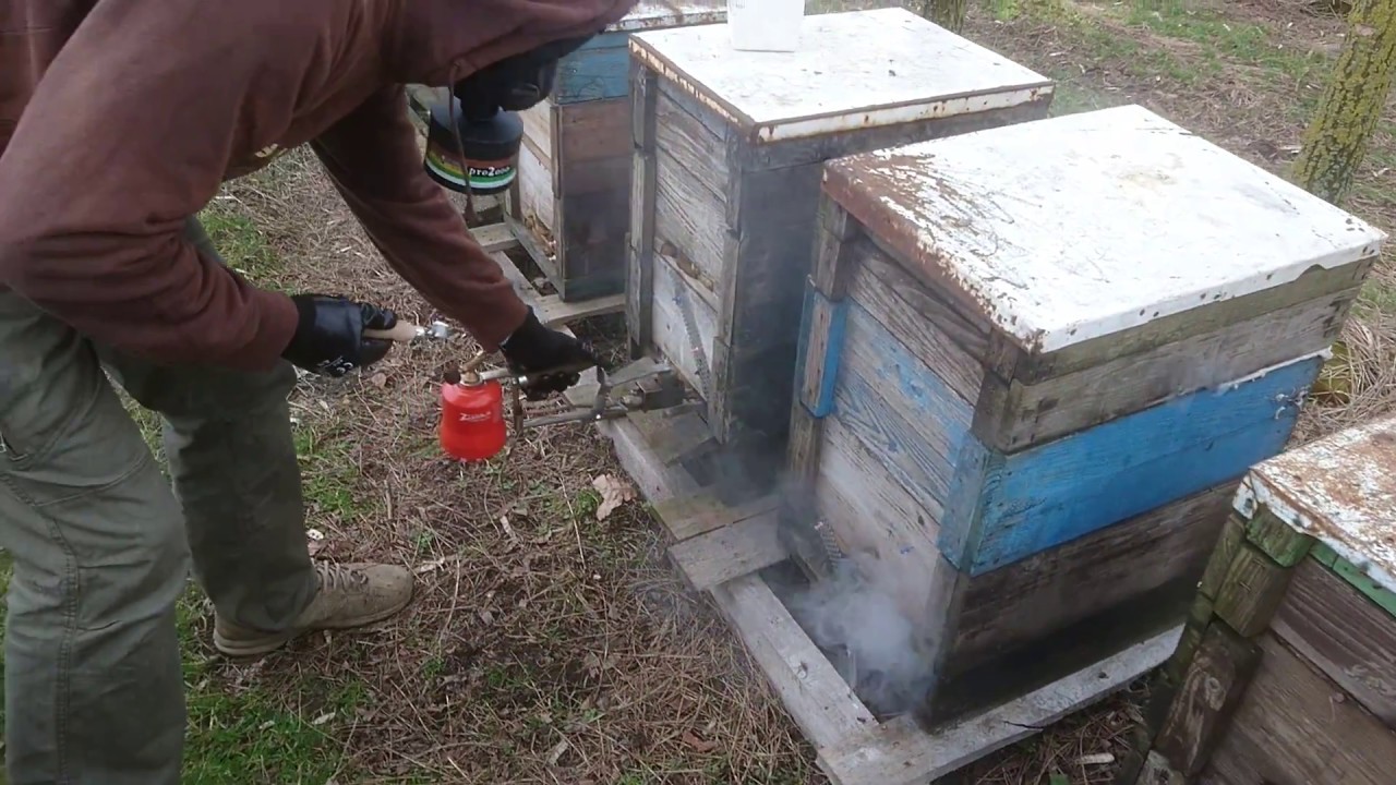 Gázos oxálsav szublimáló