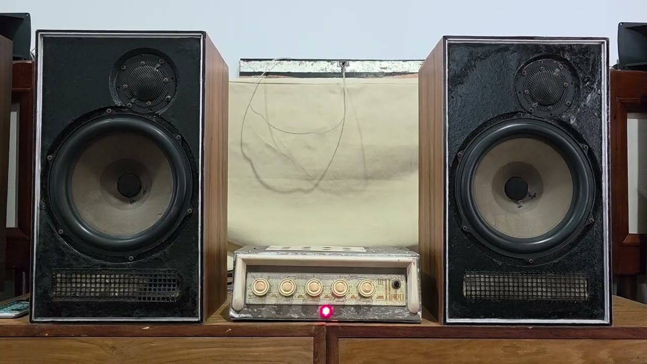 Vintage Integrated Tube Amplifier EL84 Single Ended feat Dynaco A25 10 inc speaker