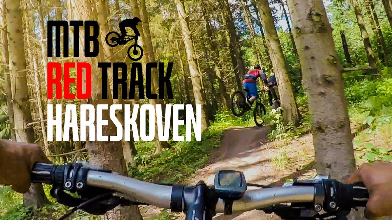 ”Det Røde Spor” Mountain biking through Hareskoven Denmark MTB