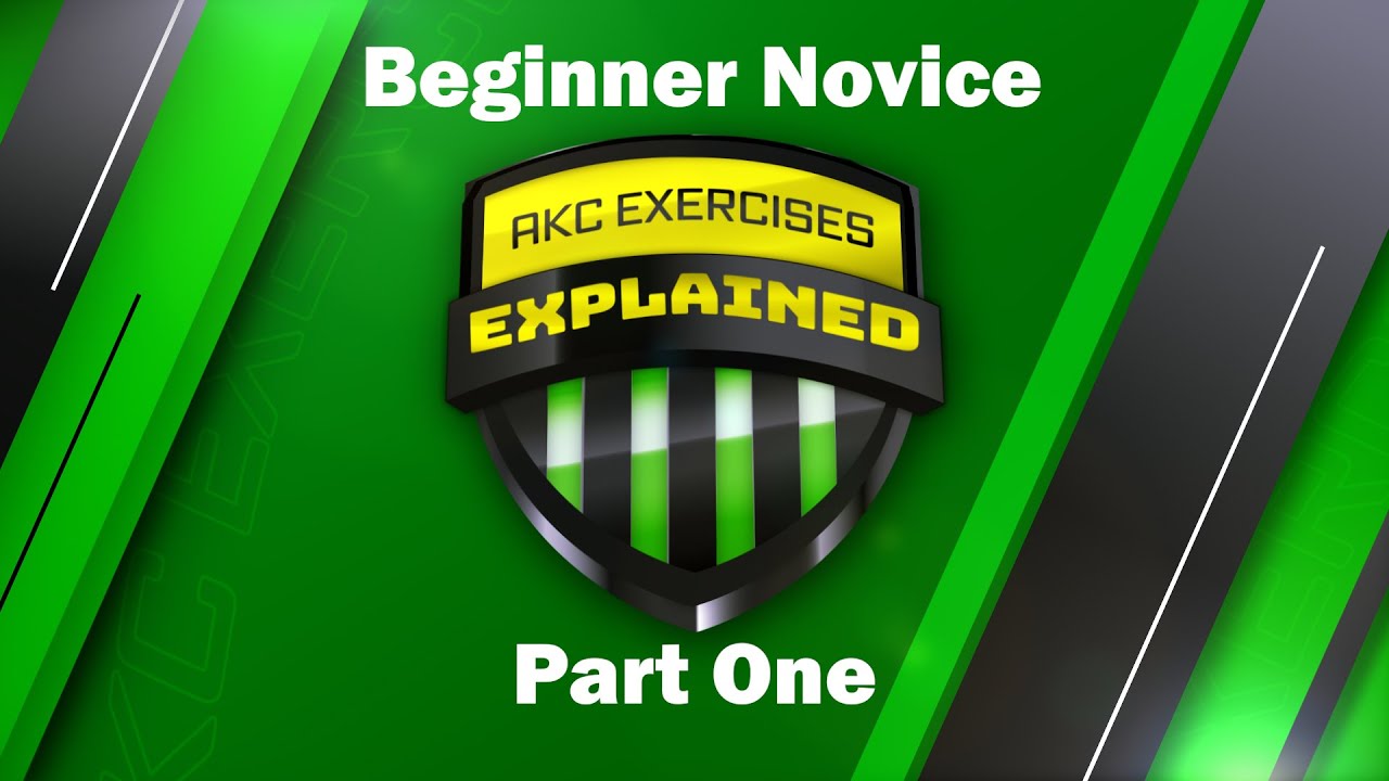 Beginner Novice Part One