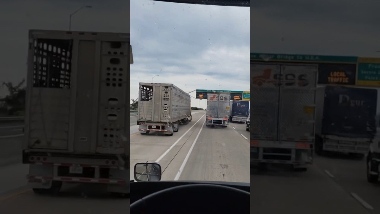 Michigan Border Traffic