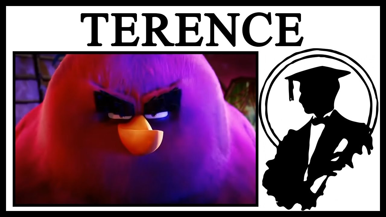 Why Is Terence From Angry Birds Staring?