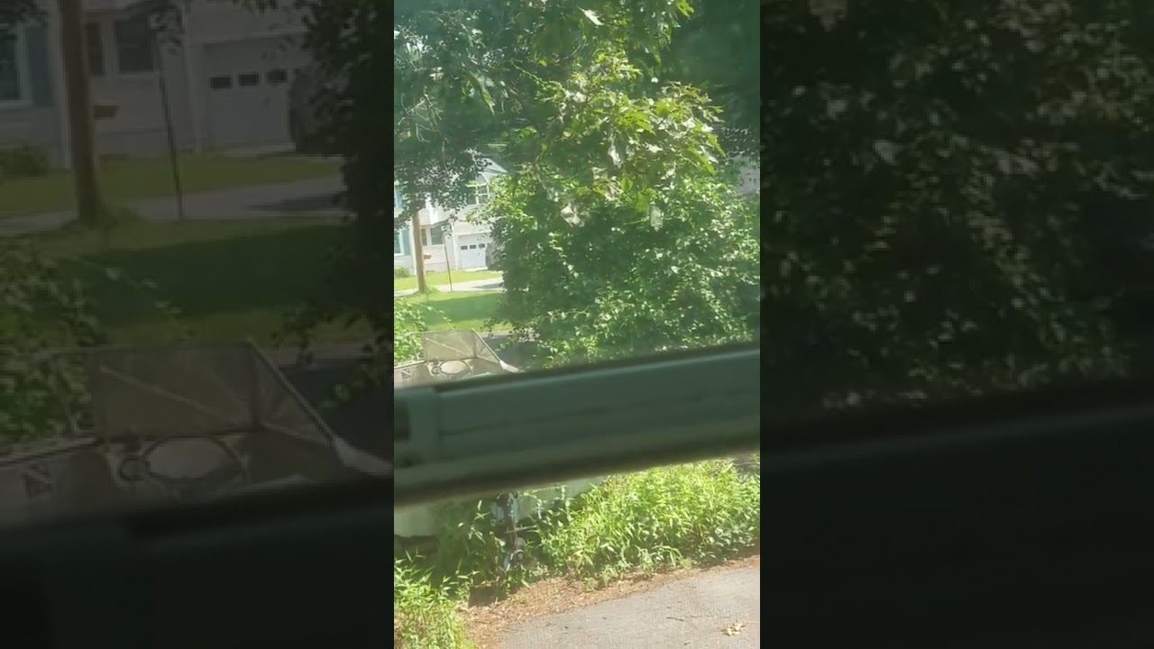 Street Sweeper ASMR