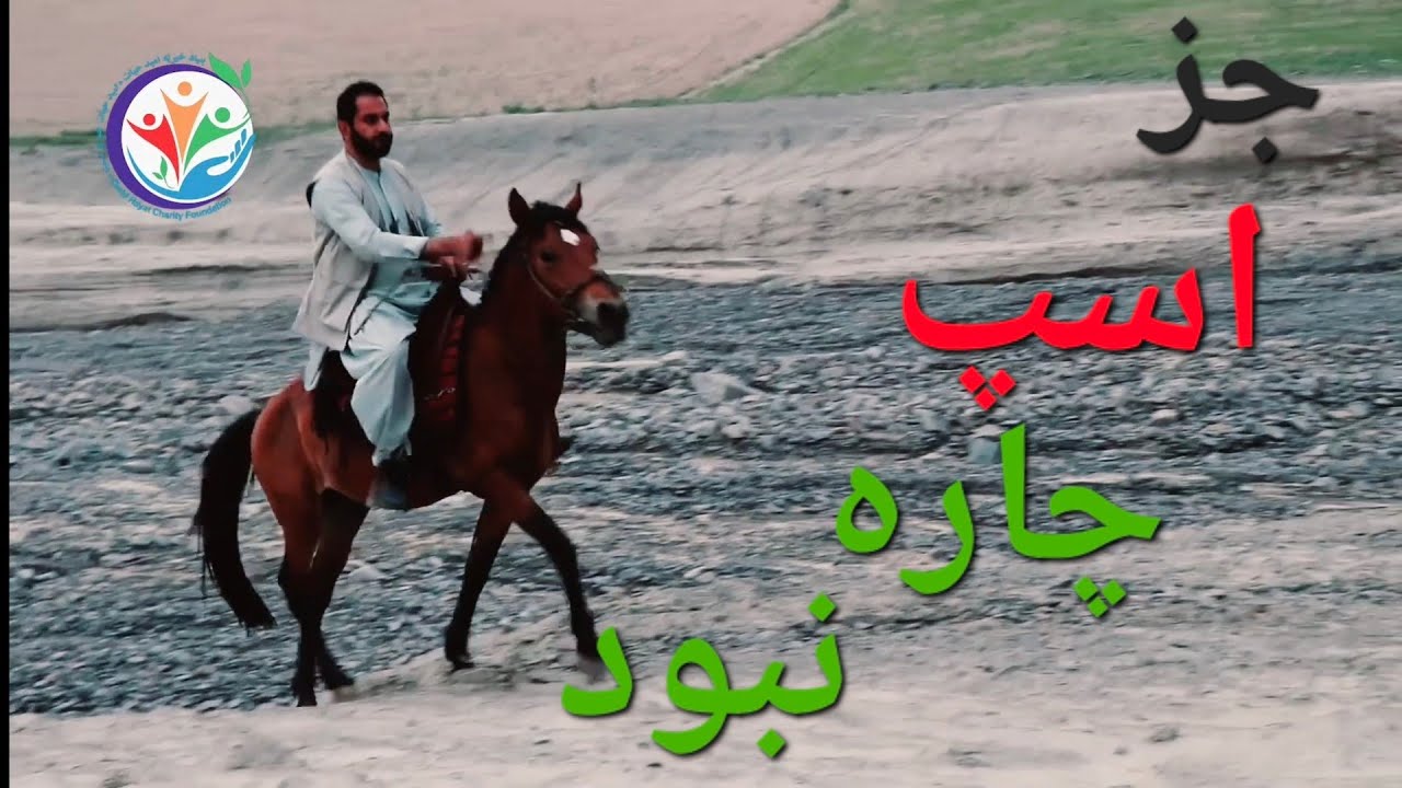 بی آشیانه گشتم ⛺️