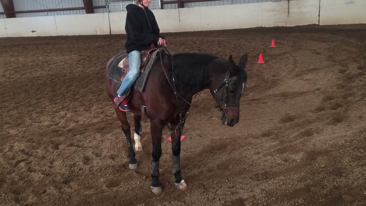 Lukas' ride on the slowest horse in history.