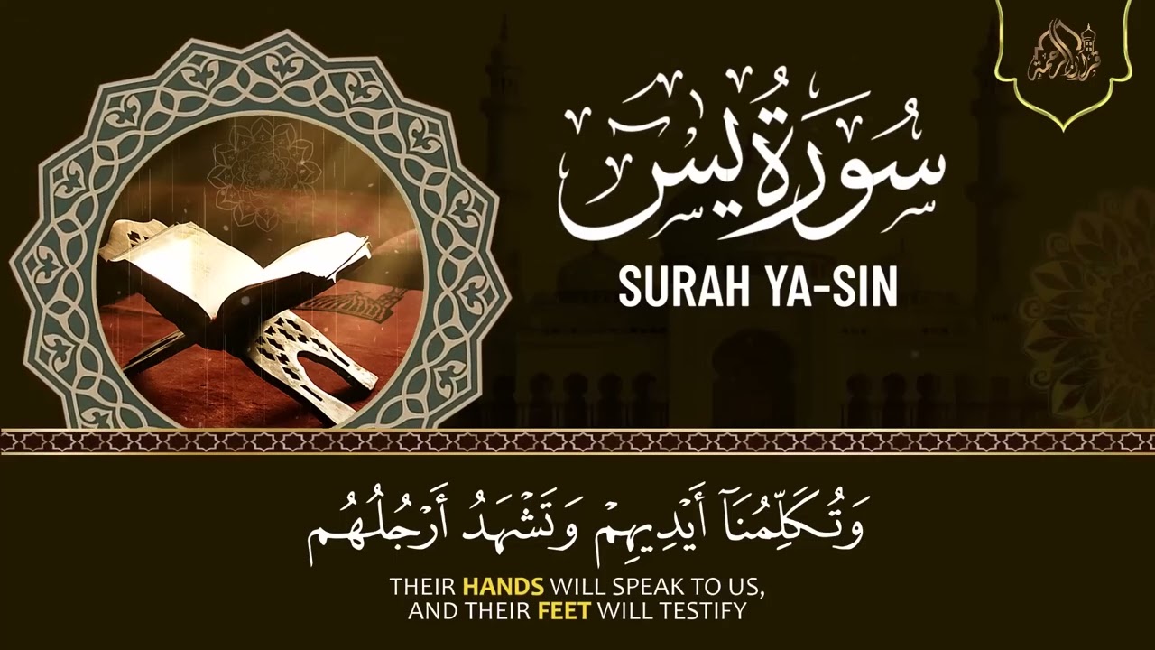 سورة يس + الواقعة + الرحمن + الملك + الكهف للرزق والشفاء العاجل باذن الله💚 عبد الرحمن السديس