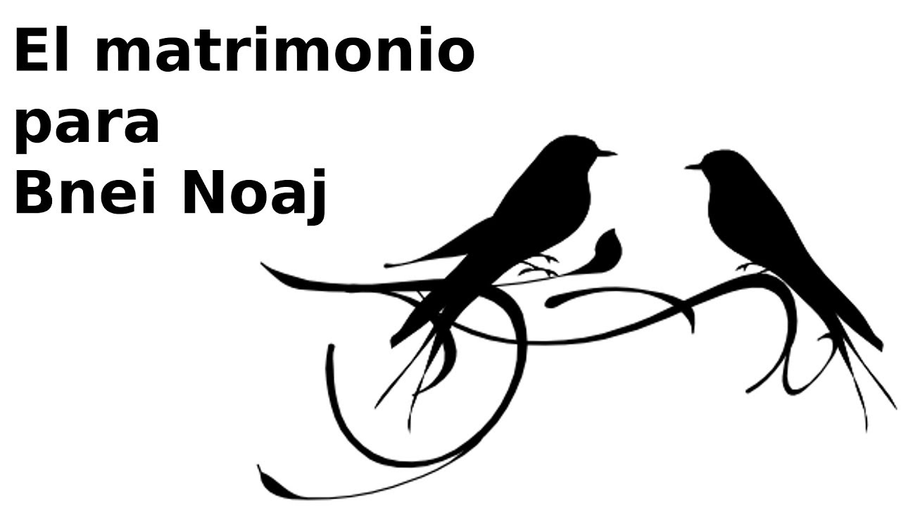 Q&A - El matrimonio para Bnei Noaj