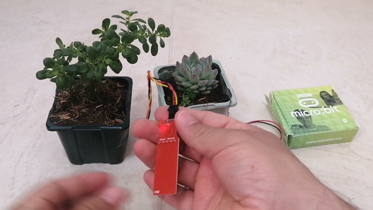 Micro:BIT | Mide humedad del suelo y pronóstico de lluvia