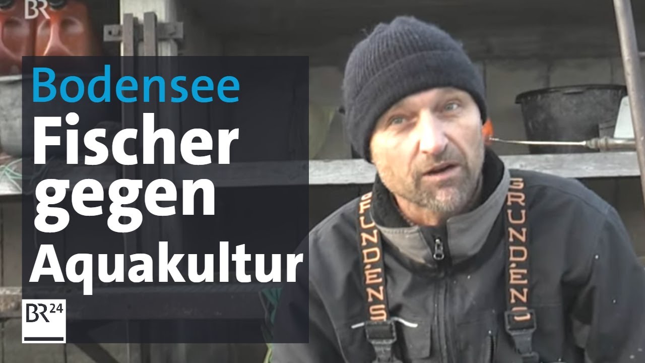 Bodensee: Streit um Fischzucht in Netzgehegen | Abendschau | BR24