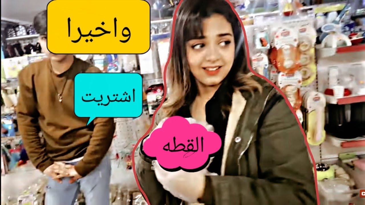 اشتريت قطه واخيرا 🥺شوفو شكد حلوه