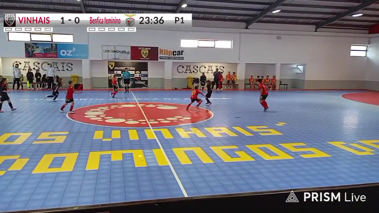 Transmissão ao vivo de Fabio Freitas