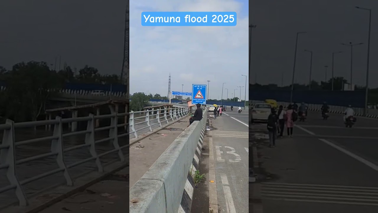 Yamuna River Flood 2025 #behtarlife #flood #delhi # signature_bridge