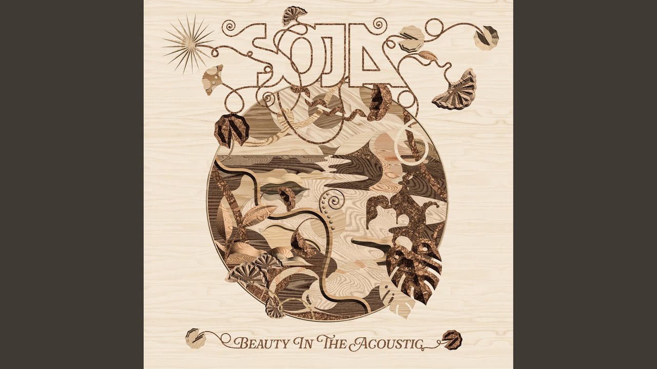 Reason To Live (Acoustic)