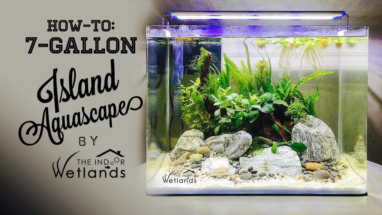 HOW-TO: EASY 7-Gallon Island Aquascape Tutorial -  Scape The Indoor Wetlands Way