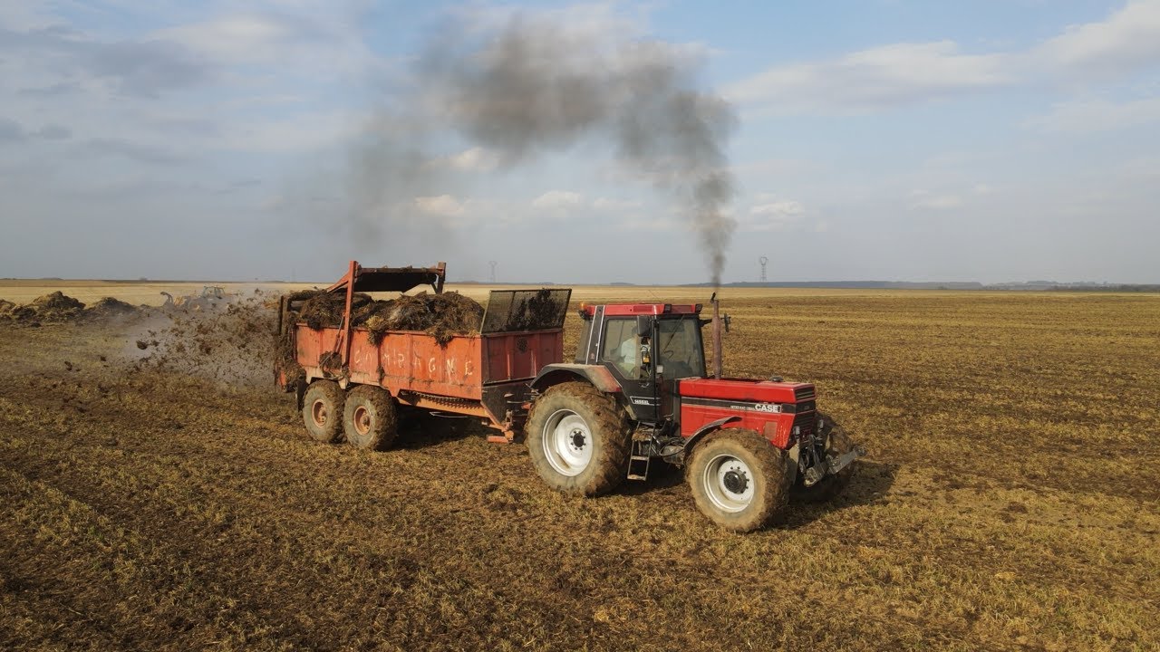 Un Case IH 1455 XL a l'épandage de fumier😍🔊🚜💨