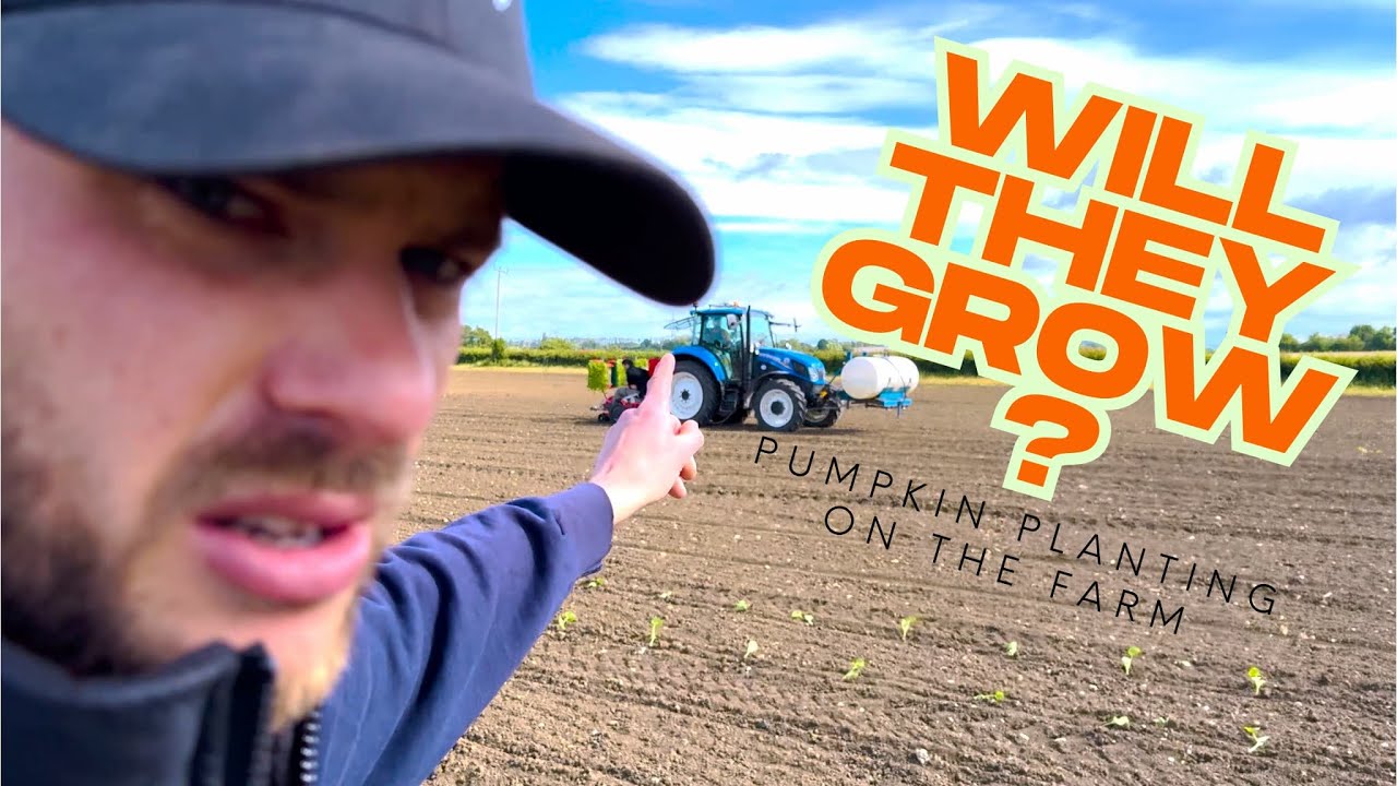 It's So Dry 🥵 | Planting Pumpkins at Over Farm using Spapperi Transplanter