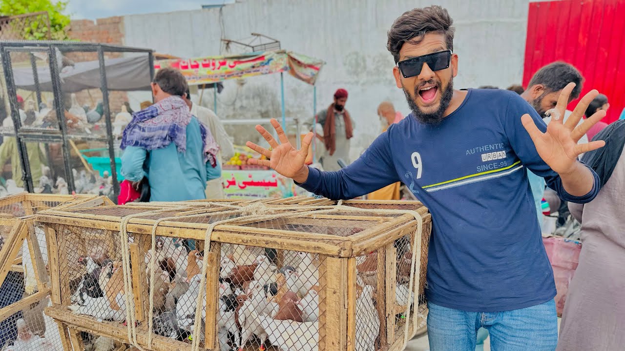 Road se pigeons ke puri dukan khareed li 😍
