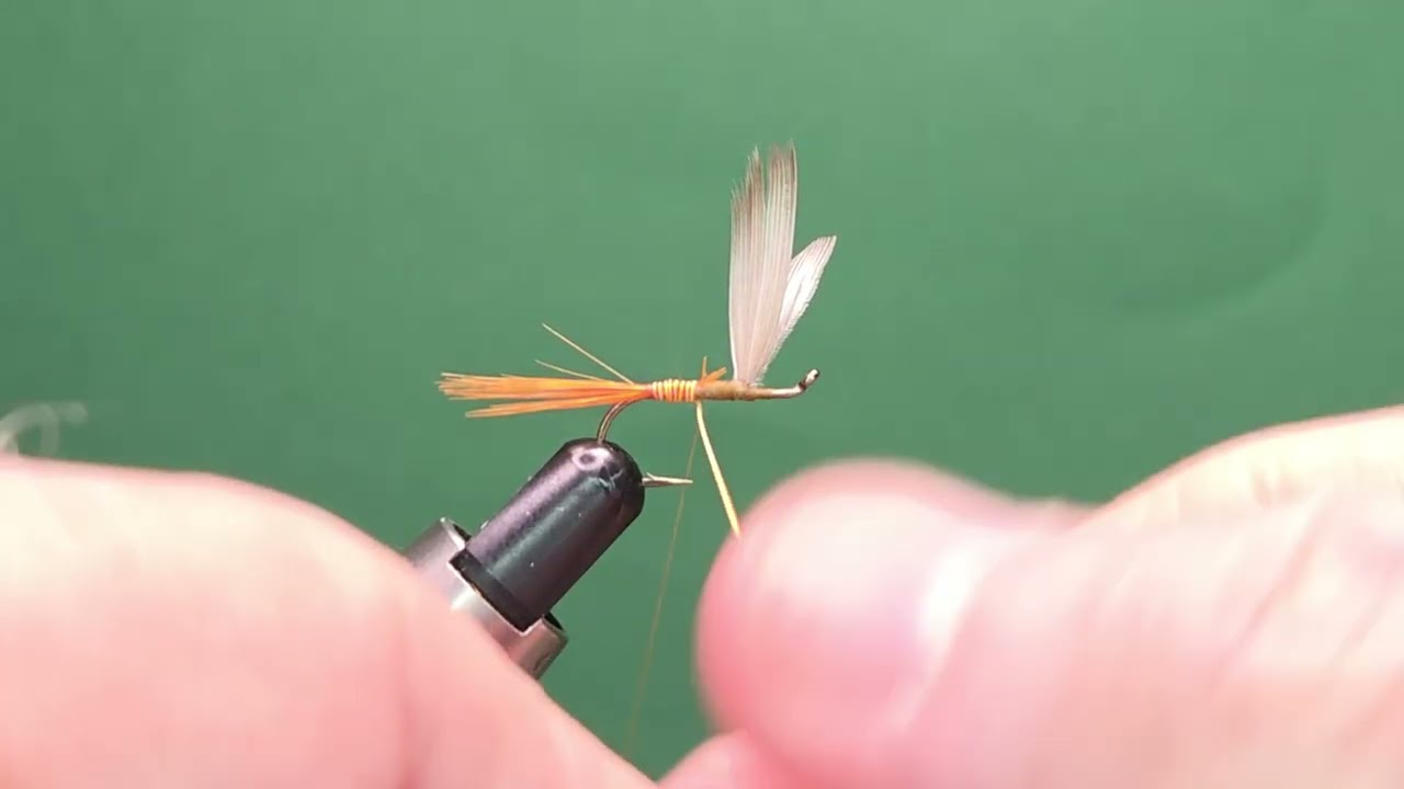 Orange Quill - One Fly A Day