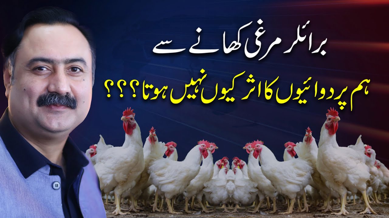 Why medicines don't affect us after having broiler chicken in our diet? || Mohsin Bhatti