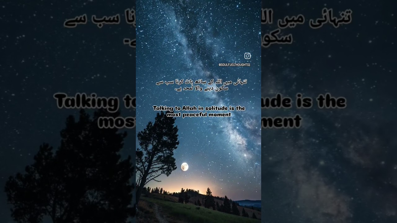 Night sky with stars ✨
