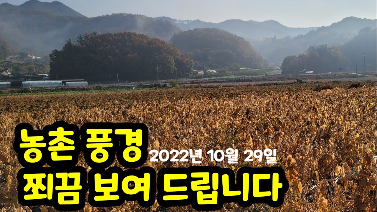 시골 풍경 구경 해요 콩밭 농촌 풍경 2202년 10월 29일