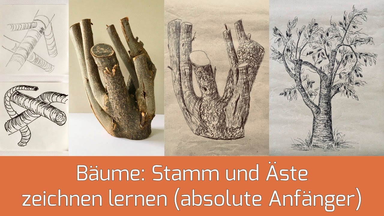 Bäume zeichnen für Anfänger (Lektion 11)