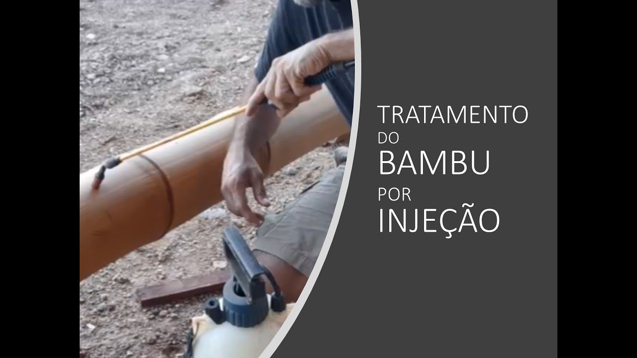 Tratamento do bambu para constru&ccedil;&atilde;o