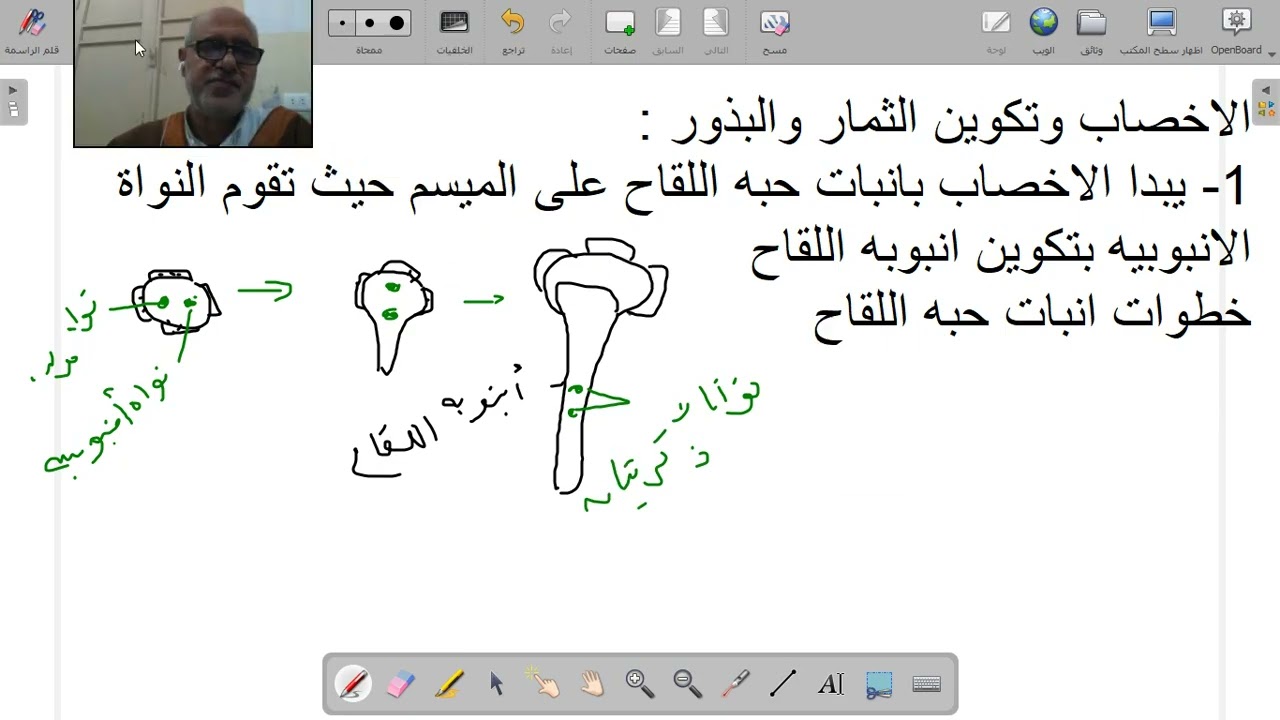Video 3 15 2026 13 54 58         التكاثر فى النباتات الزهريه اخر حصه