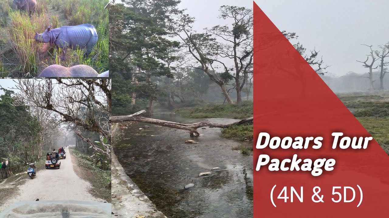 Dooars Tour Plan | Dooars Tour Package Cost | Dooars Tourism| Dooars Jungle Safari | Essence of Asia