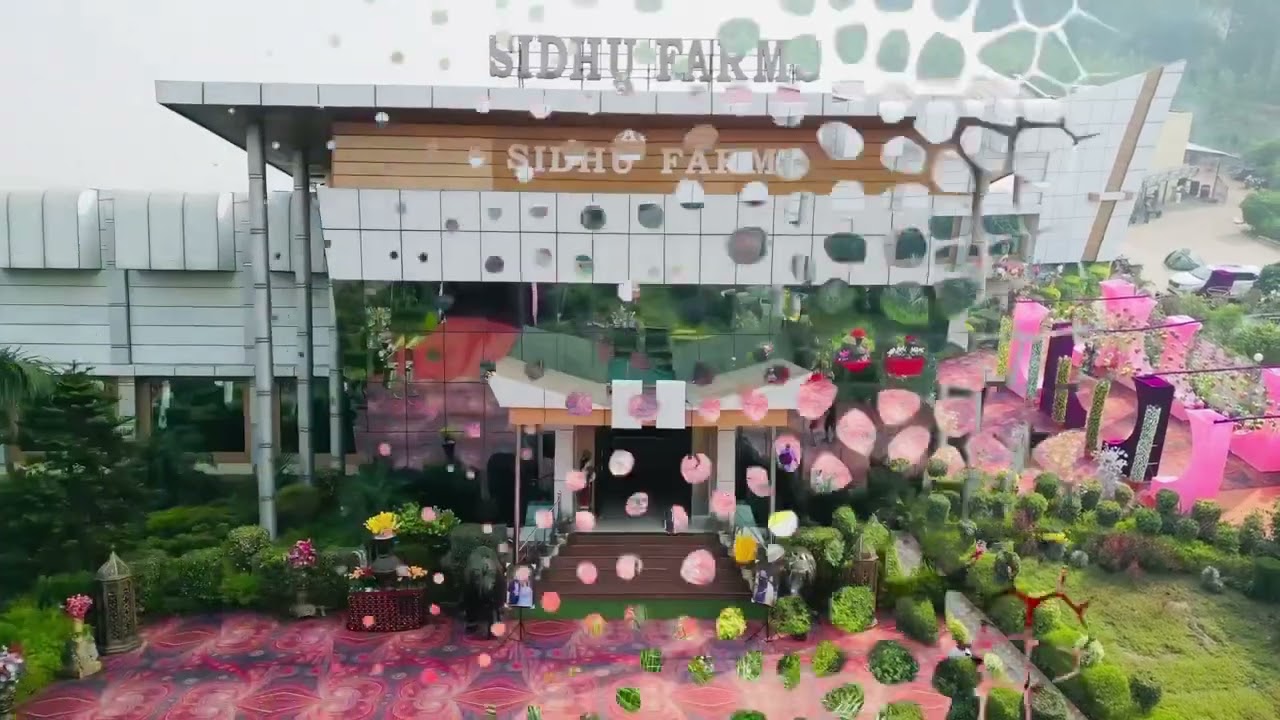 Sidhu farms sheron (Tarn Taran)