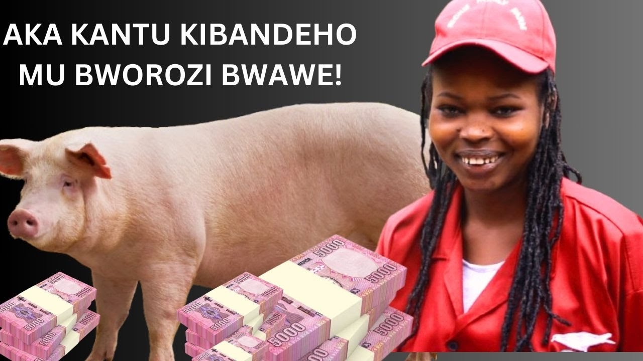 UKIMARA KUBYUMVA, HITA UBISHYIRA MU BIKORWA! KUVA KU NGURUBE, INKOKO,INKWAVU,INKA,BIKORE KINYAMWUGA!