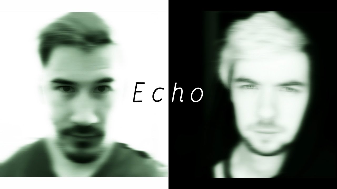 Echo - Darkiplier and Antisepticeye (request)